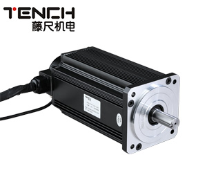 110光軸無刷電機(jī)600W-2000W